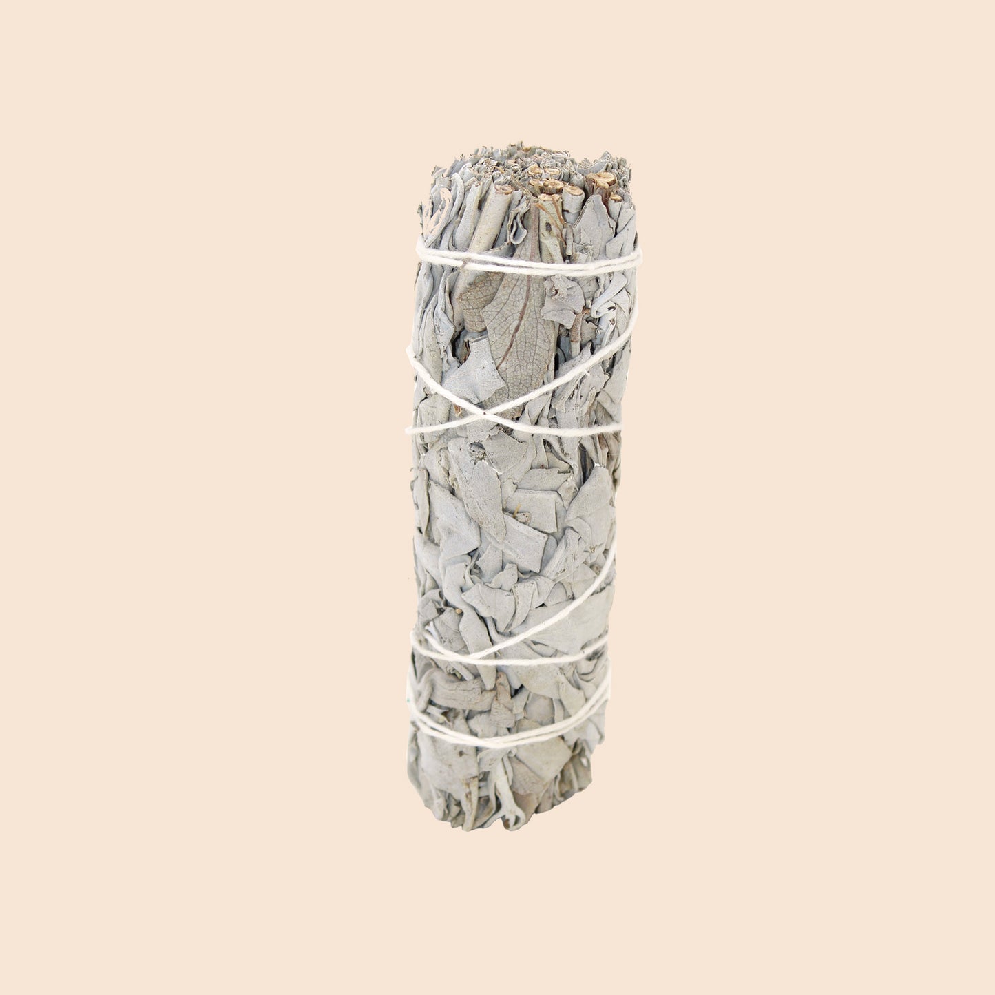 Bundle of white sage