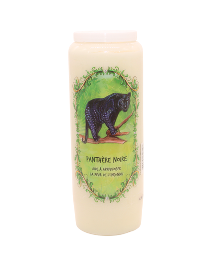 Bougies Neuvaines – Animaux Totems