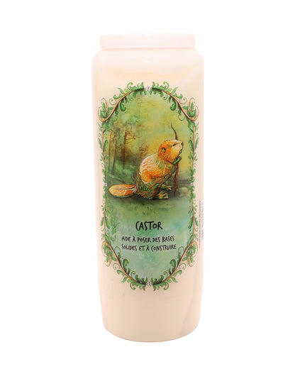Bougies Neuvaines – Animaux Totems
