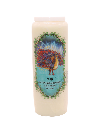 Bougies Neuvaines – Animaux Totems